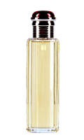 Australian Womens Fragrances : Society by Burberry