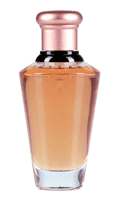 Australian Womens Fragrances : Tuscany per Donna by Aramis