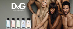 D&G Fragrances